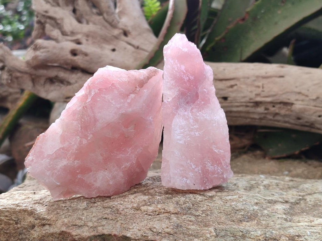 Natural Cobbed Rose Quartz Specimens x 27 From Northern Cape, South Africa - Toprock Gemstones and Minerals 