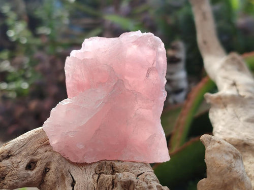 Natural Cobbed Rose Quartz Specimens x 27 From Northern Cape, South Africa - Toprock Gemstones and Minerals 