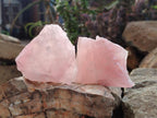 Natural Cobbed Rose Quartz Specimens x 27 From Northern Cape, South Africa - Toprock Gemstones and Minerals 