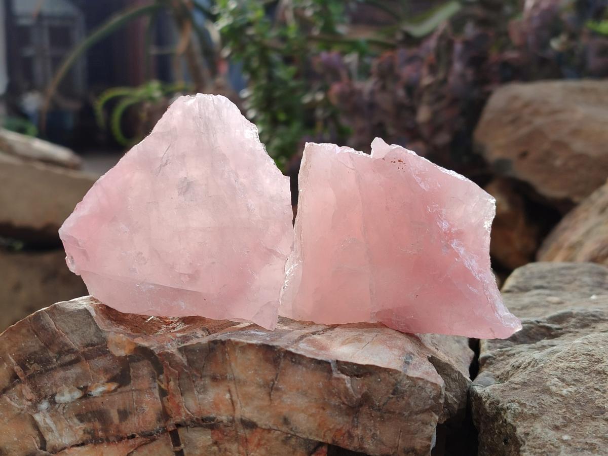 Natural Cobbed Rose Quartz Specimens x 27 From Northern Cape, South Africa - Toprock Gemstones and Minerals 
