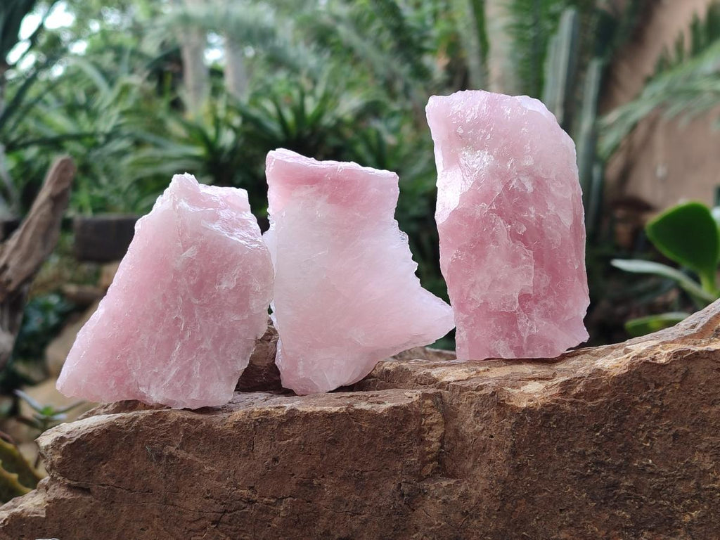 Natural Cobbed Rose Quartz Specimens x 27 From Northern Cape, South Africa - Toprock Gemstones and Minerals 