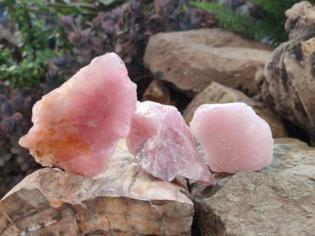Natural Cobbed Rose Quartz Specimens x 27 From Northern Cape, South Africa - Toprock Gemstones and Minerals 