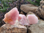 Natural Cobbed Rose Quartz Specimens x 27 From Northern Cape, South Africa - Toprock Gemstones and Minerals 