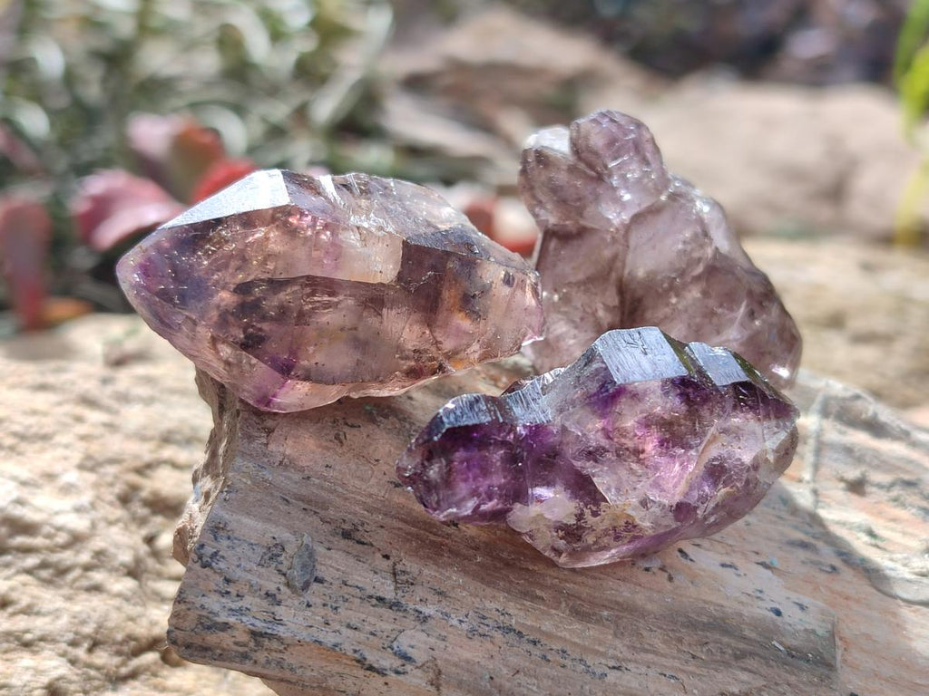 Natural Smokey Amethyst Sceptre Crystals x 35 From Chiredzi, Zimbabwe - Toprock Gemstones and Minerals 