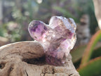 Natural Smokey Amethyst Sceptre Crystals x 35 From Chiredzi, Zimbabwe - Toprock Gemstones and Minerals 