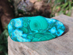 Polished Malacolla Free Forms x 12 From Kulukuluku, Congo - Toprock Gemstones and Minerals 