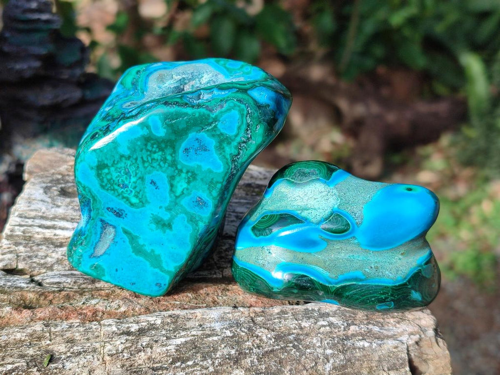 Polished Malacolla Free Forms x 12 From Kulukuluku, Congo - Toprock Gemstones and Minerals 