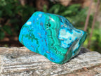 Polished Malacolla Free Forms x 12 From Kulukuluku, Congo - Toprock Gemstones and Minerals 