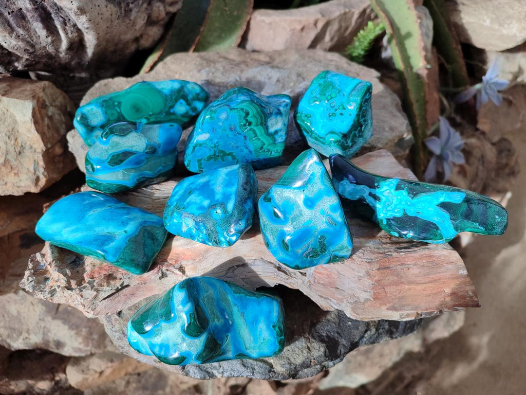 Polished Malacolla Free Forms x 12 From Kulukuluku, Congo - Toprock Gemstones and Minerals 