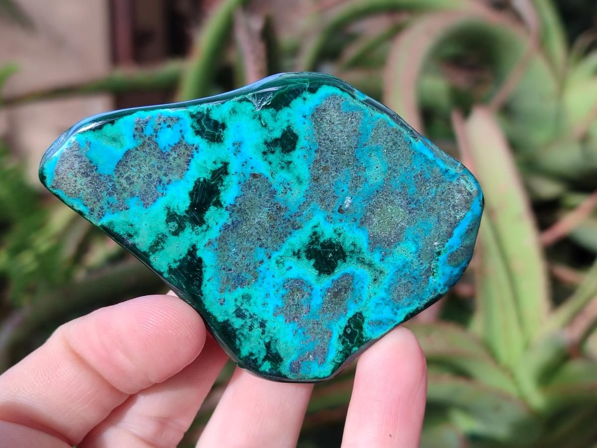Polished Malacolla Free Forms x 12 From Kulukuluku, Congo - Toprock Gemstones and Minerals 