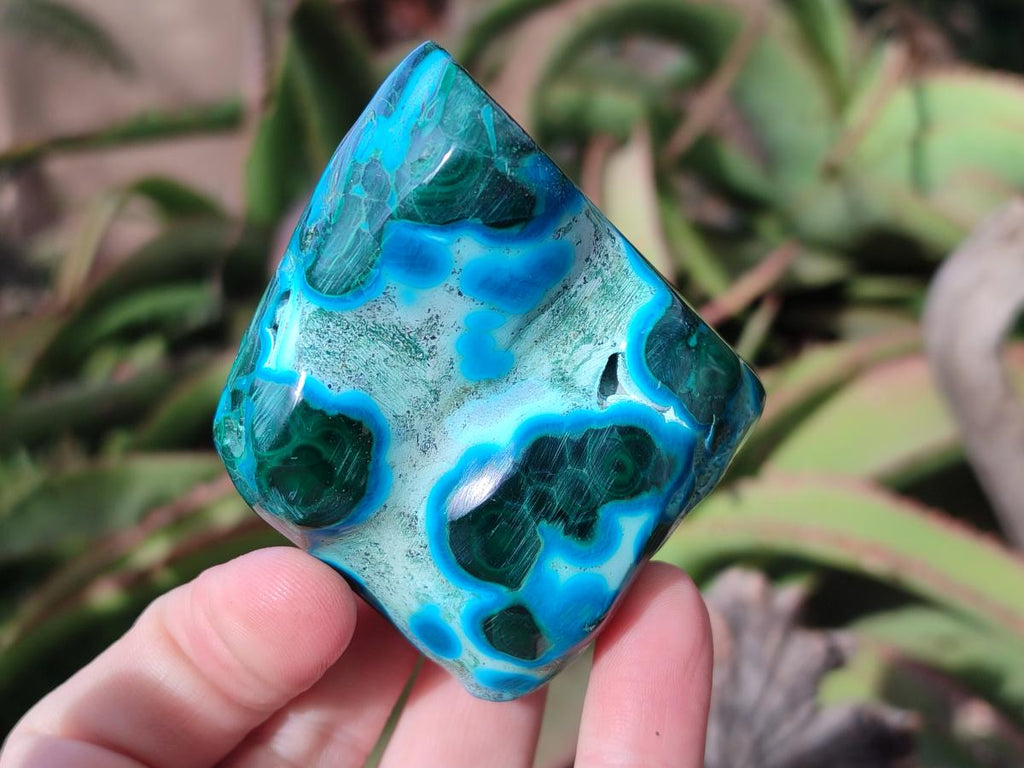 Polished Malacolla Free Forms x 12 From Kulukuluku, Congo - Toprock Gemstones and Minerals 