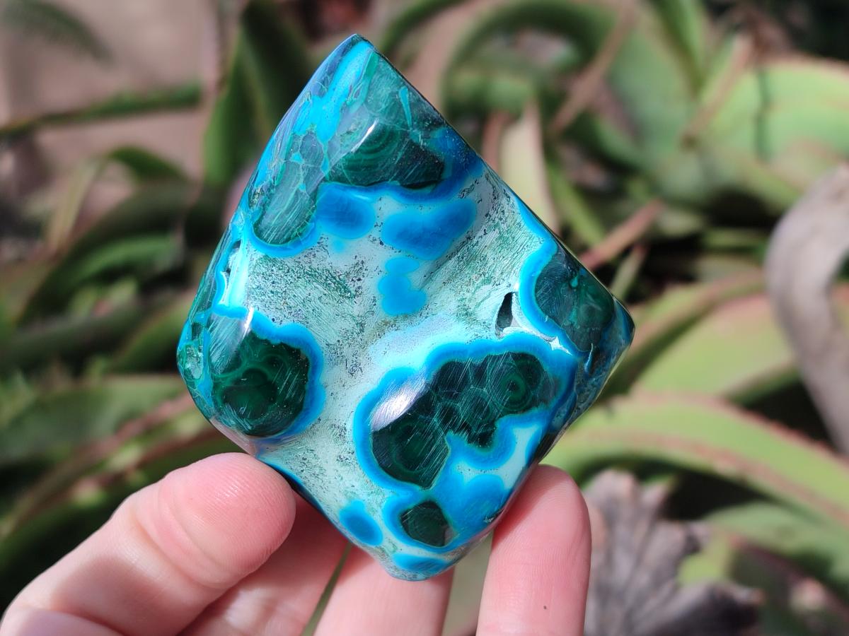 Polished Malacolla Free Forms x 12 From Kulukuluku, Congo - Toprock Gemstones and Minerals 