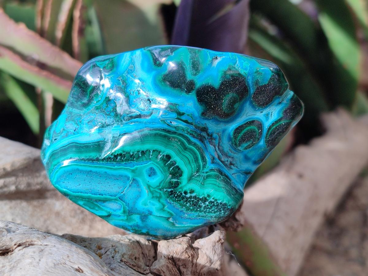 Polished Malacolla Free Forms x 12 From Kulukuluku, Congo - Toprock Gemstones and Minerals 