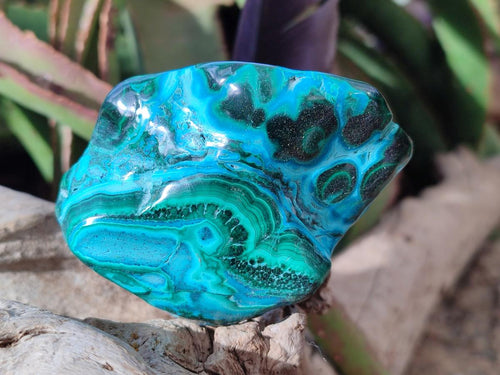 Polished Malacolla Free Forms x 12 From Kulukuluku, Congo - Toprock Gemstones and Minerals 