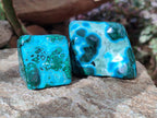 Polished Malacolla Free Forms x 12 From Kulukuluku, Congo - Toprock Gemstones and Minerals 
