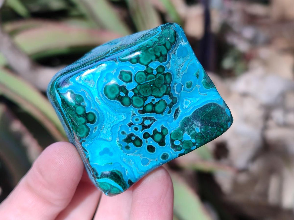 Polished Malacolla Free Forms x 12 From Kulukuluku, Congo - Toprock Gemstones and Minerals 