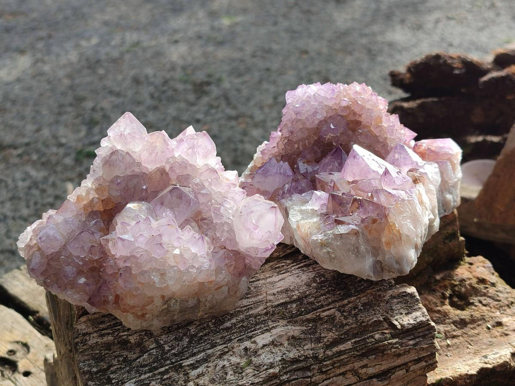 Natural Large Cabinet Spirit Amethyst Clusters x 2 From Boekenhouthoek, South Africa - Toprock Gemstones and Minerals 