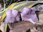 Natural Large Cabinet Spirit Amethyst Clusters x 2 From Boekenhouthoek, South Africa - Toprock Gemstones and Minerals 