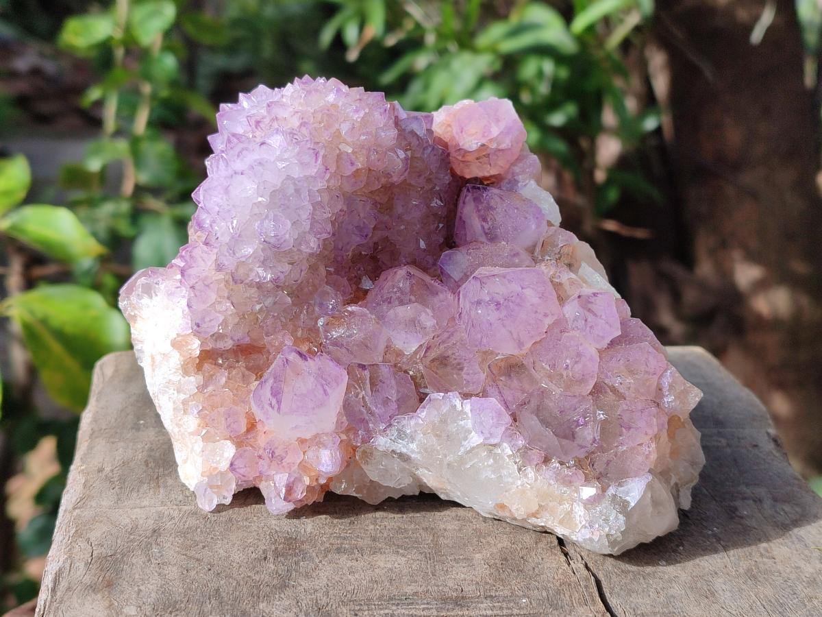 Natural Large Cabinet Spirit Amethyst Clusters x 2 From Boekenhouthoek, South Africa - Toprock Gemstones and Minerals 