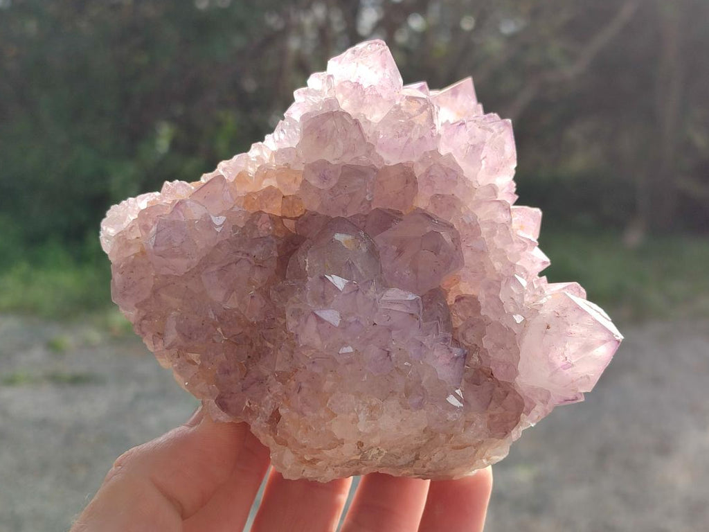 Natural Large Cabinet Spirit Amethyst Clusters x 2 From Boekenhouthoek, South Africa - Toprock Gemstones and Minerals 