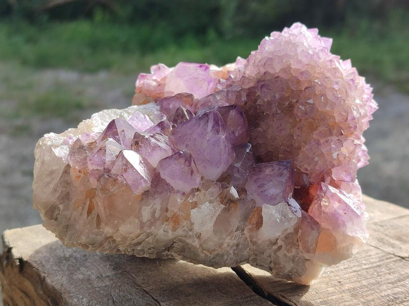 Natural Large Cabinet Spirit Amethyst Clusters x 2 From Boekenhouthoek, South Africa - Toprock Gemstones and Minerals 