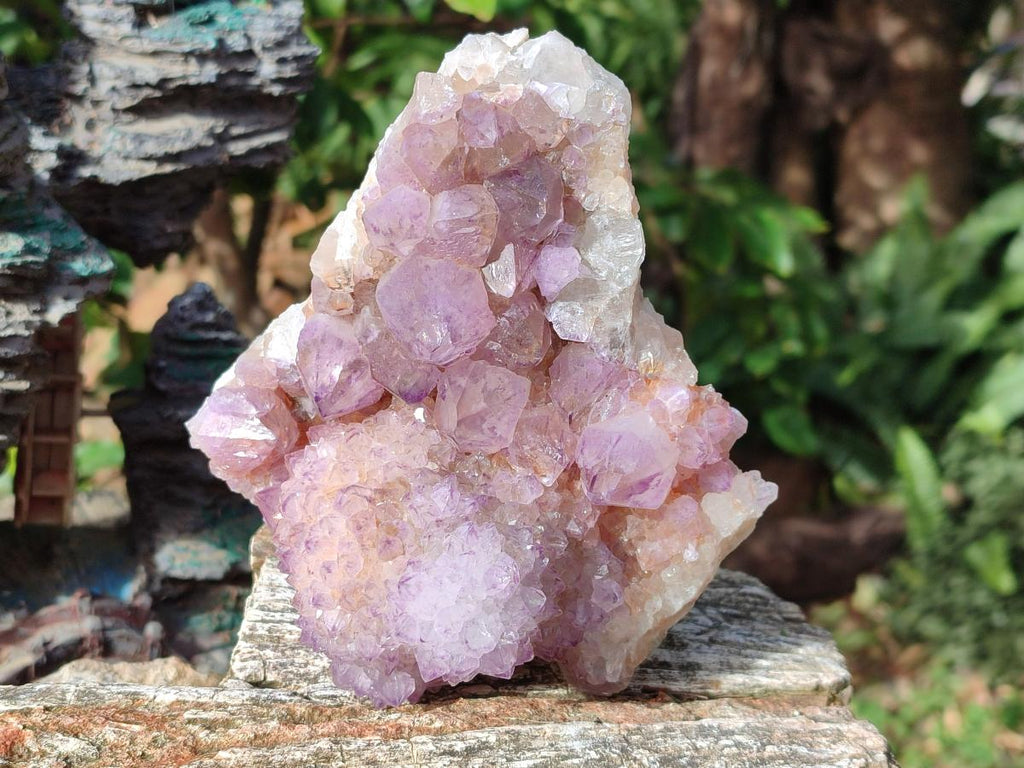 Natural Large Cabinet Spirit Amethyst Clusters x 2 From Boekenhouthoek, South Africa - Toprock Gemstones and Minerals 