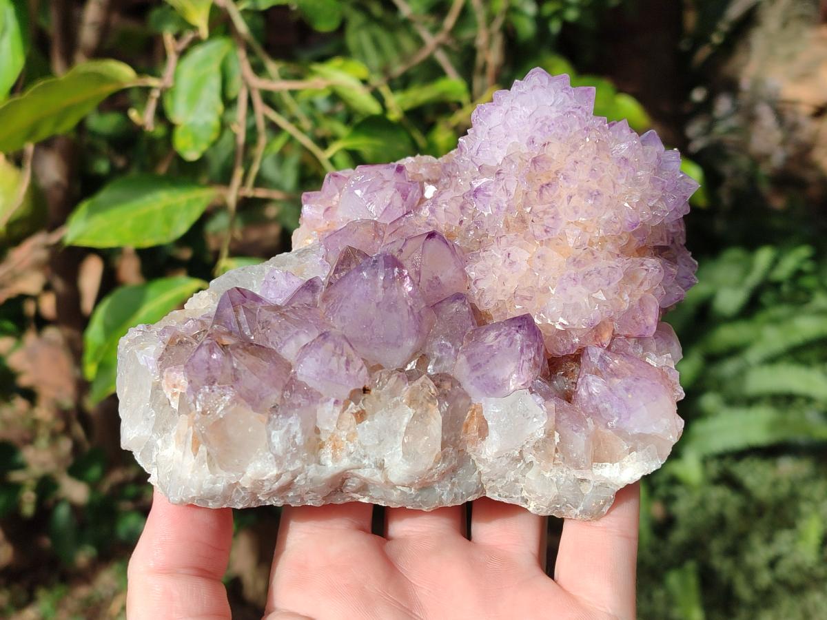 Natural Large Cabinet Spirit Amethyst Clusters x 2 From Boekenhouthoek, South Africa - Toprock Gemstones and Minerals 