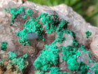 Natural XL Quartz and Malachite Specimen x 1 From Kasompe, Congo - Toprock Gemstones and Minerals 