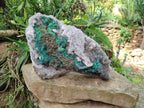 Natural XL Quartz and Malachite Specimen x 1 From Kasompe, Congo - Toprock Gemstones and Minerals 