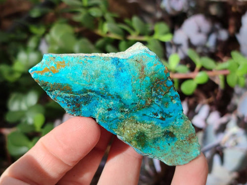 Polished One Side Shattuckite Slices x 24 From Kaokoveld, Namibia - Toprock Gemstones and Minerals 