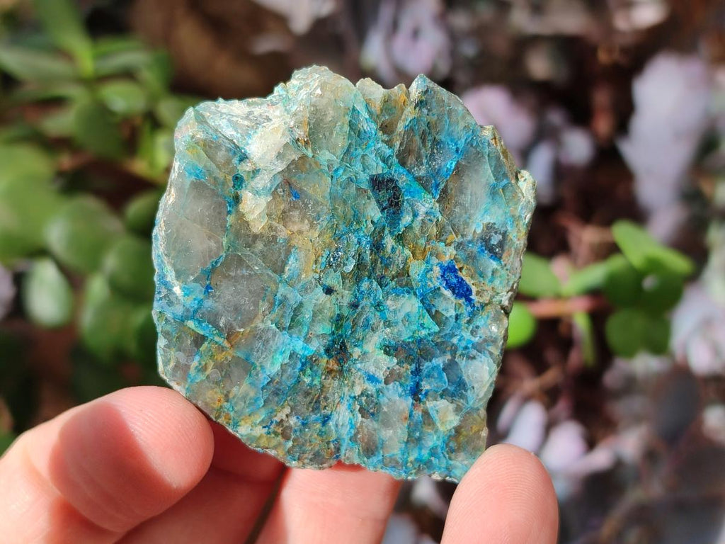 Polished One Side Shattuckite Slices x 24 From Kaokoveld, Namibia - Toprock Gemstones and Minerals 