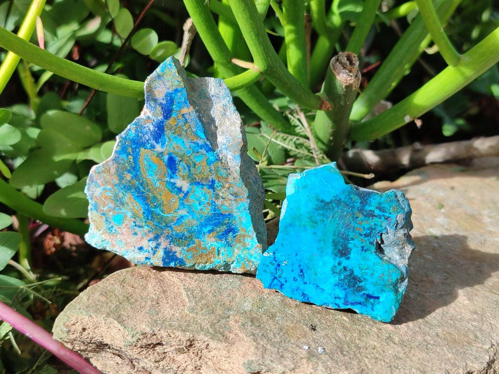 Polished One Side Shattuckite Slices x 24 From Kaokoveld, Namibia - Toprock Gemstones and Minerals 