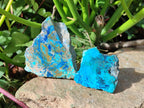 Polished One Side Shattuckite Slices x 24 From Kaokoveld, Namibia - Toprock Gemstones and Minerals 