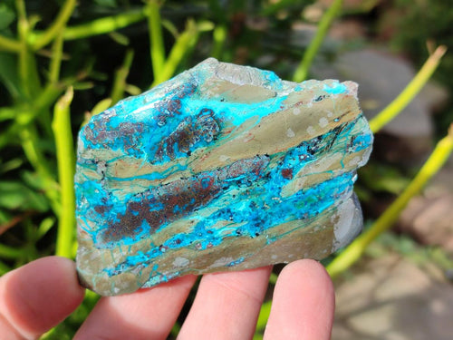 Polished One Side Shattuckite Slices x 24 From Kaokoveld, Namibia - Toprock Gemstones and Minerals 