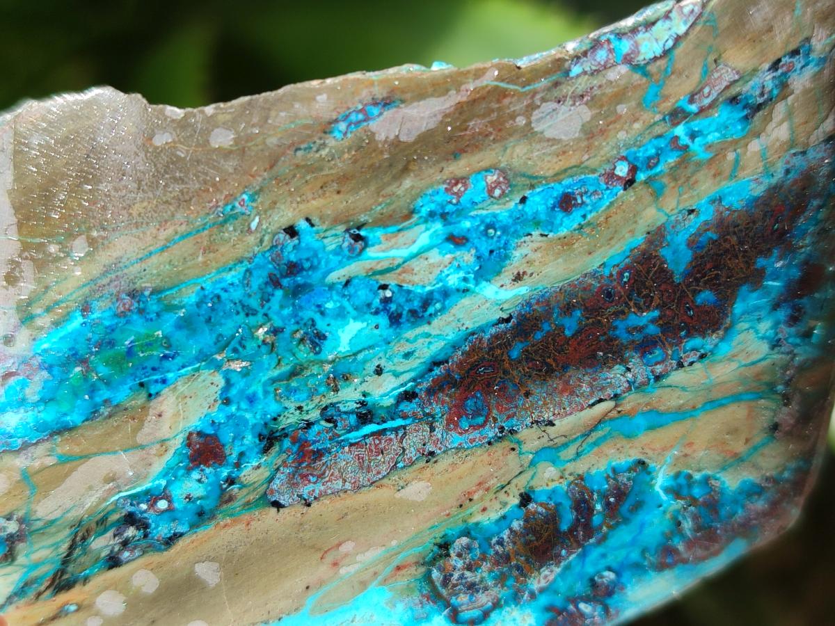 Polished One Side Shattuckite Slices x 24 From Kaokoveld, Namibia - Toprock Gemstones and Minerals 