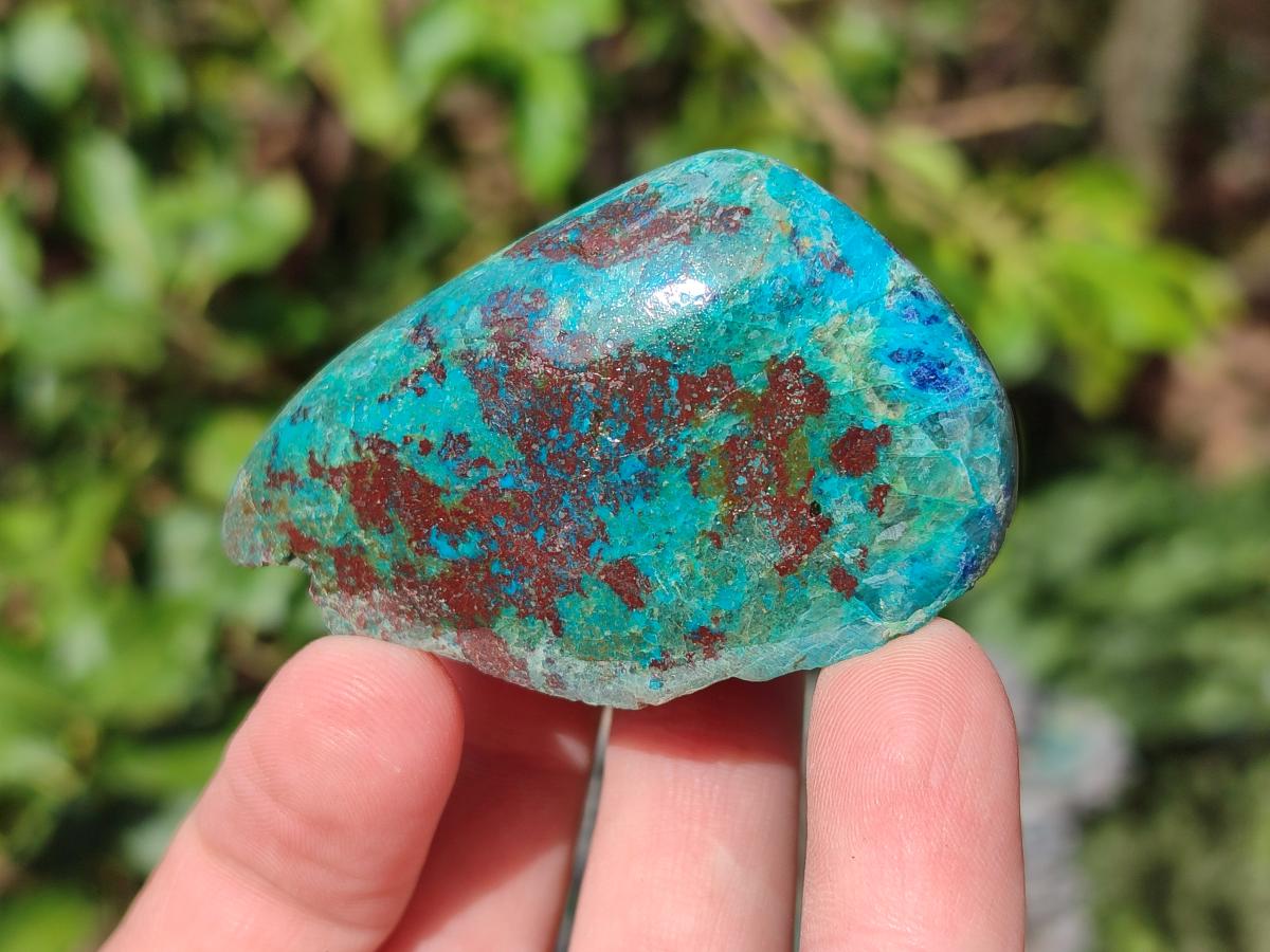 Polished One Side Shattuckite Slices x 24 From Kaokoveld, Namibia - Toprock Gemstones and Minerals 