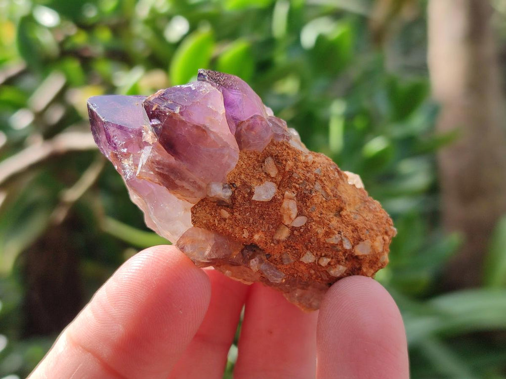 Natural Dark Purple Amethyst Clusters x 35 From Boekenhouthoek, South Africa - Toprock Gemstones and Minerals 