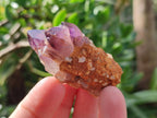 Natural Dark Purple Amethyst Clusters x 35 From Boekenhouthoek, South Africa - Toprock Gemstones and Minerals 