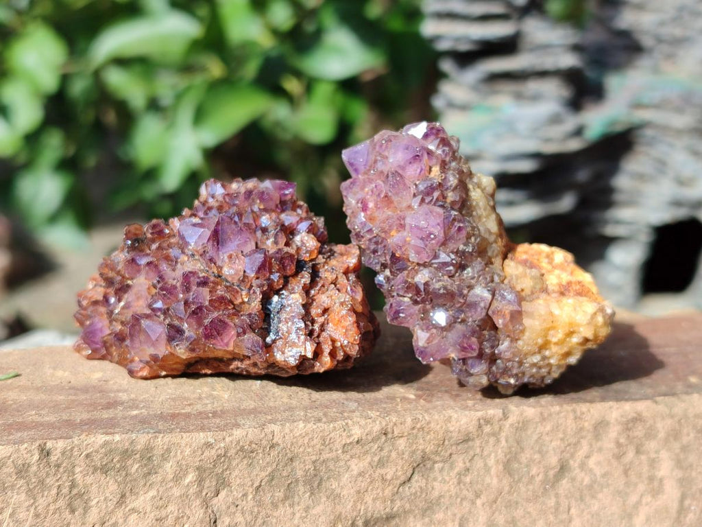 Natural Dark Purple Amethyst Clusters x 35 From Boekenhouthoek, South Africa - Toprock Gemstones and Minerals 
