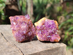 Natural Dark Purple Amethyst Clusters x 35 From Boekenhouthoek, South Africa - Toprock Gemstones and Minerals 
