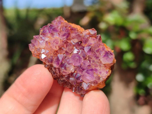 Natural Dark Purple Amethyst Clusters x 35 From Boekenhouthoek, South Africa - Toprock Gemstones and Minerals 