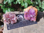 Natural Dark Purple Amethyst Clusters x 35 From Boekenhouthoek, South Africa - Toprock Gemstones and Minerals 