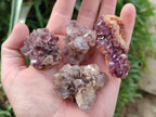 Natural Dark Purple Amethyst Clusters x 35 From Boekenhouthoek, South Africa - Toprock Gemstones and Minerals 