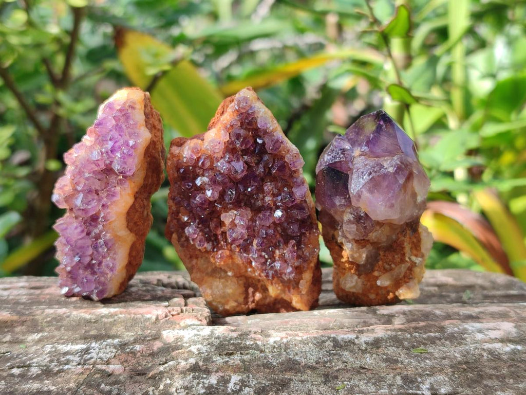 Natural Dark Purple Amethyst Clusters x 35 From Boekenhouthoek, South Africa - Toprock Gemstones and Minerals 