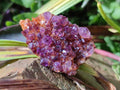 Natural Dark Purple Amethyst Clusters x 35 From Boekenhouthoek, South Africa - Toprock Gemstones and Minerals 