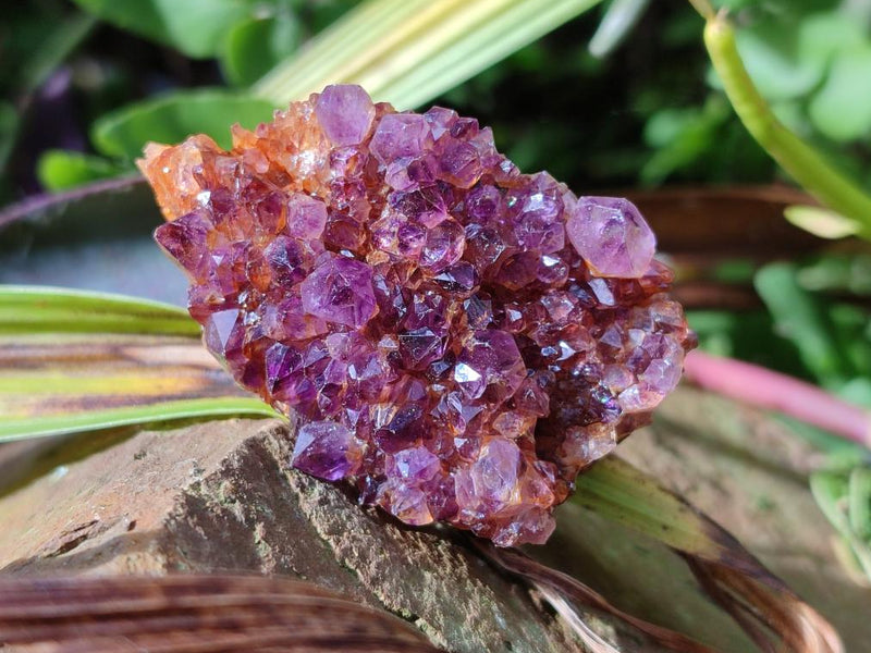 Natural Dark Purple Amethyst Clusters x 35 From Boekenhouthoek, South Africa - Toprock Gemstones and Minerals 