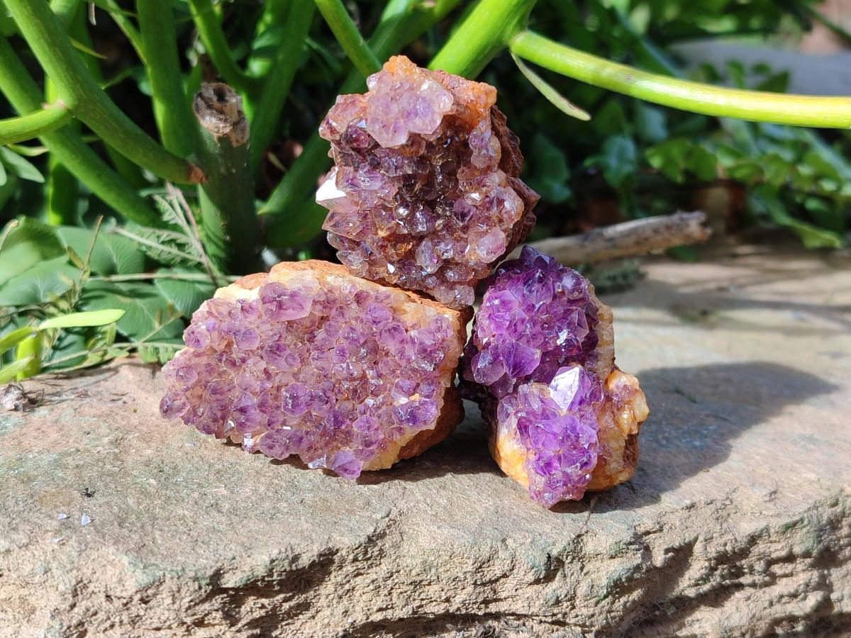 Natural Dark Purple Amethyst Clusters x 35 From Boekenhouthoek, South Africa - Toprock Gemstones and Minerals 
