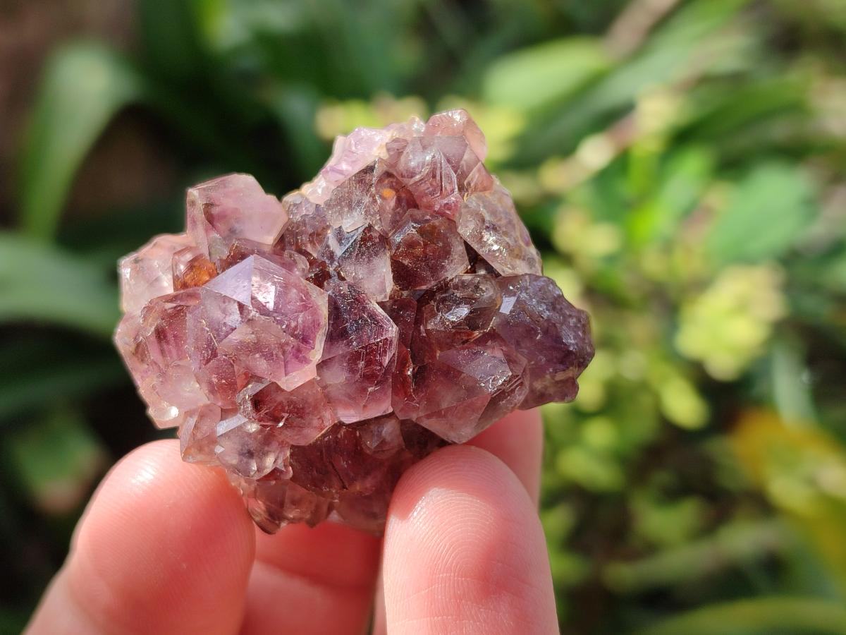 Natural Dark Purple Amethyst Clusters x 35 From Boekenhouthoek, South Africa - Toprock Gemstones and Minerals 