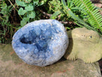 Natural Large Blue Celestite Geode Specimen x 1 From Sakoany, Madagascar - Toprock Gemstones and Minerals 