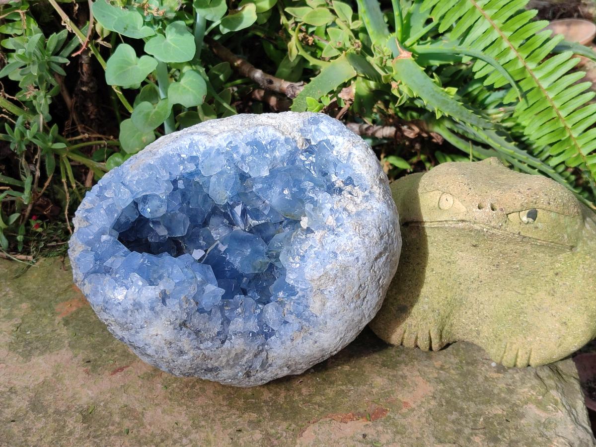 Natural Large Blue Celestite Geode Specimen x 1 From Sakoany, Madagascar - Toprock Gemstones and Minerals 